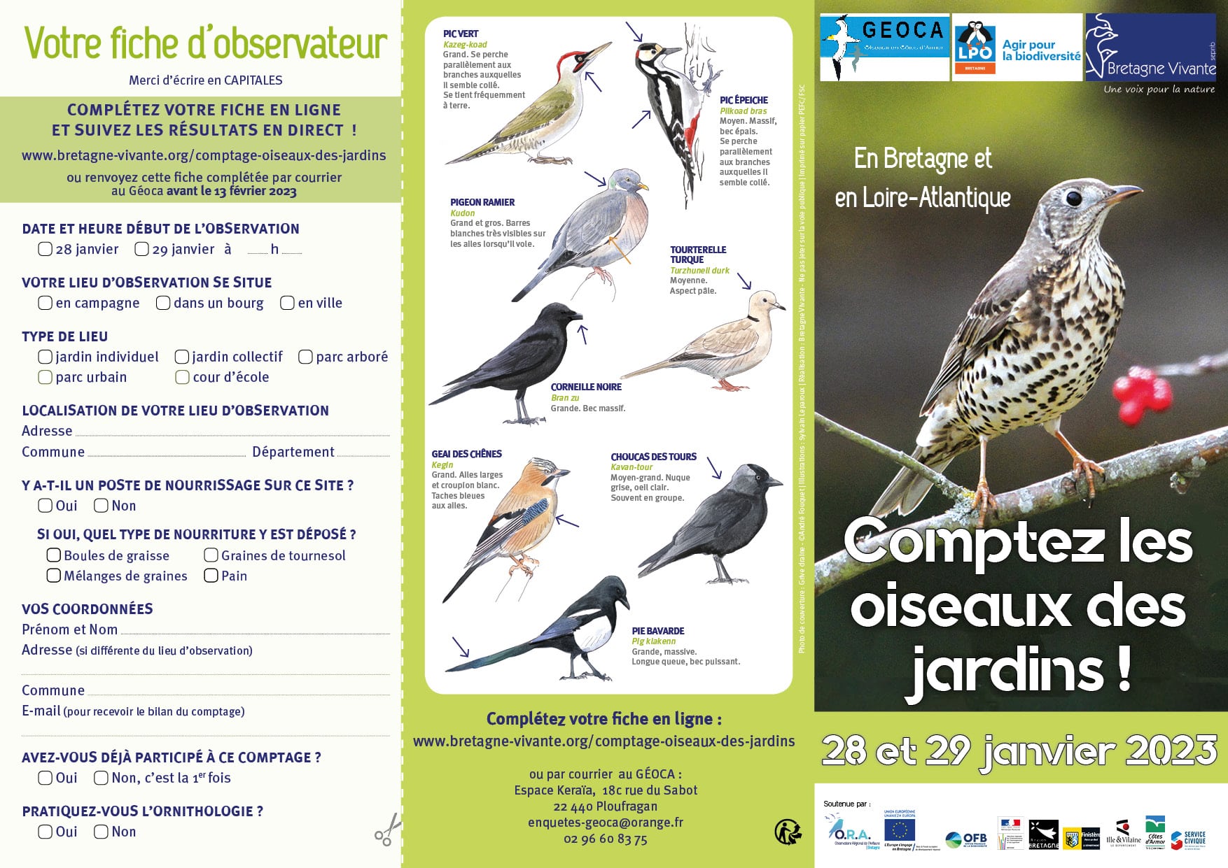 Comptage oiseaux des jardins Bretagne Vivante